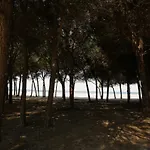 Pine-tree W/ Private Garden 50 M From The Sea Golem (Tirana)