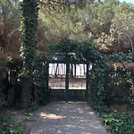 Appartement Pine-tree W/ Private Garden 50 M From The Sea