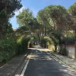 Pine-tree W/ Private Garden 50 M From The Sea Golem (Tirana)