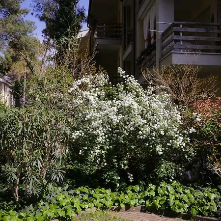 Pine-tree W/ Private Garden 50 M From The Sea 아파트