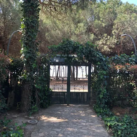아파트 Pine-tree W/ Private Garden 50 M From The Sea