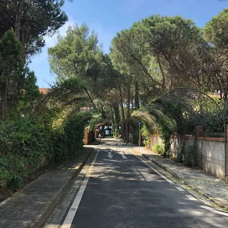 Pine-tree W/ Private Garden 50 M From The Sea Golem