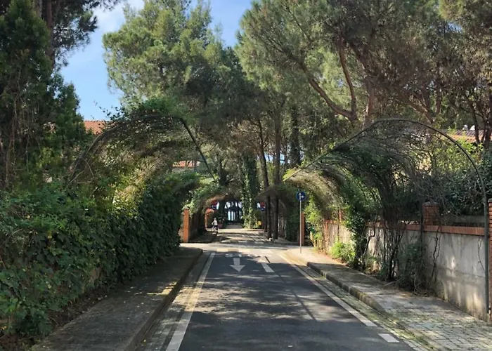 Pine-tree W/ Private Garden 50 M From The Sea Golem