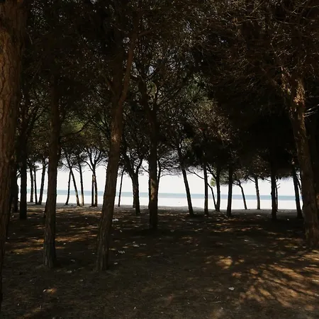 Pine-tree W/ Private Garden 50 M From The Sea Golem (Tirana)