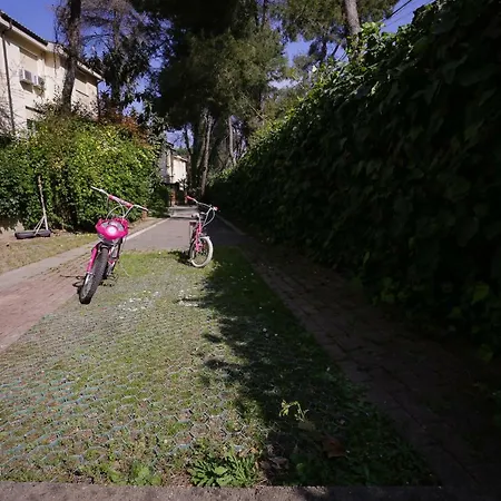 Apartamento Pine-tree W/ Private Garden 50 M From The Sea Golem (Tirana)