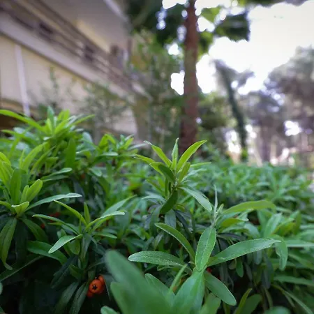Pine-tree W/ Private Garden 50 M From The Sea 格勒姆