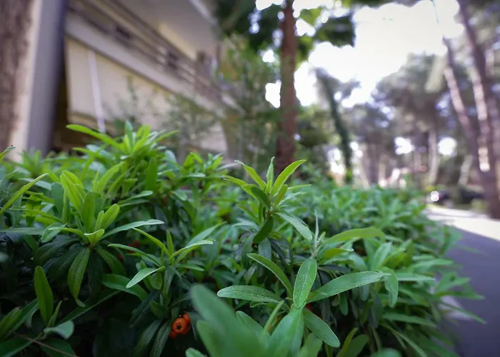 Pine-tree W/ Private Garden 50 M From The Sea Golem (Tirana)