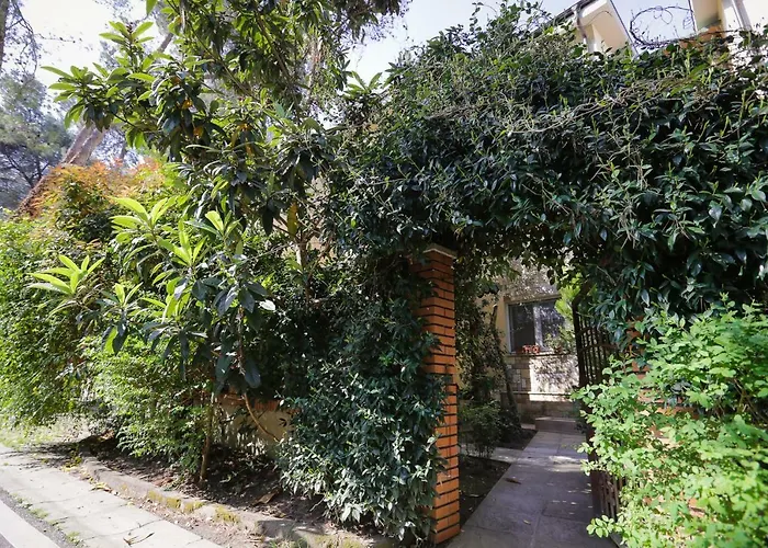 Pine-tree W/ Private Garden 50 M From The Sea Golem (Tirana)