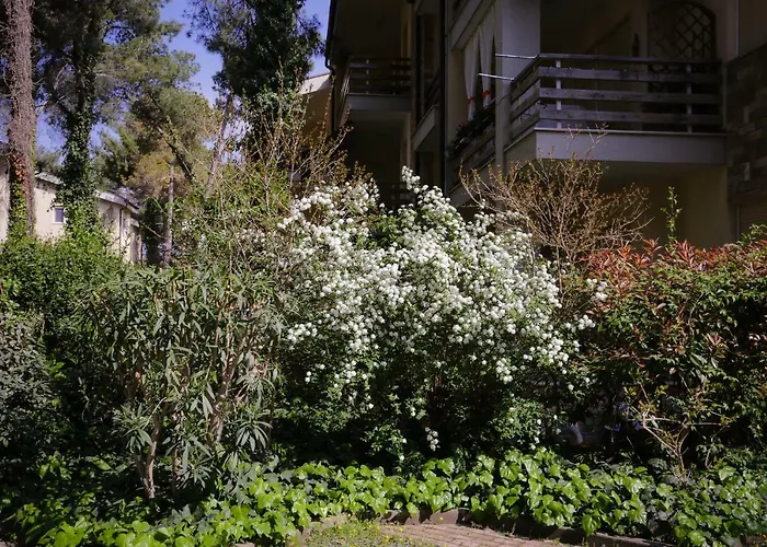 Pine-tree W/ Private Garden 50 M From The Sea Appartement