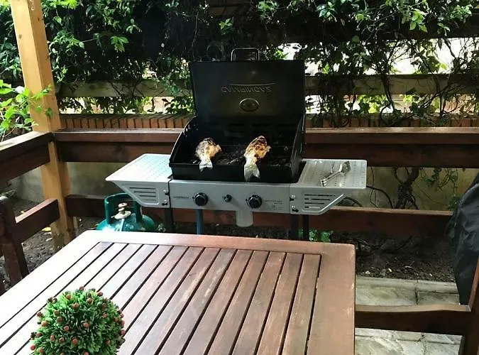 Appartement Pine-tree W/ Private Garden 50 M From The Sea *